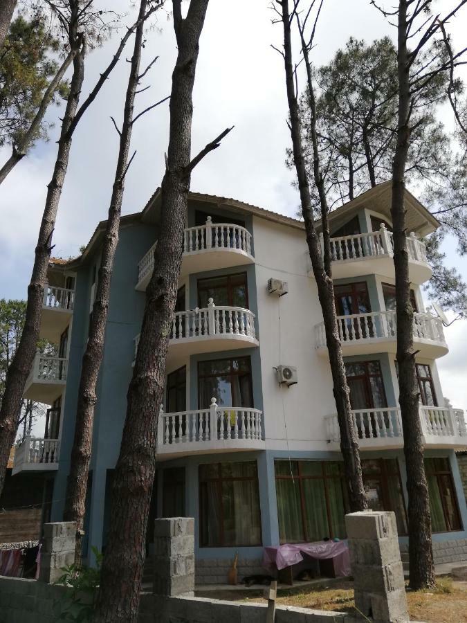 Hotel Shekvetili เชคเวทิลี ภายนอก รูปภาพ